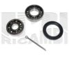 CALIBER RC1720 Wheel Bearing Kit